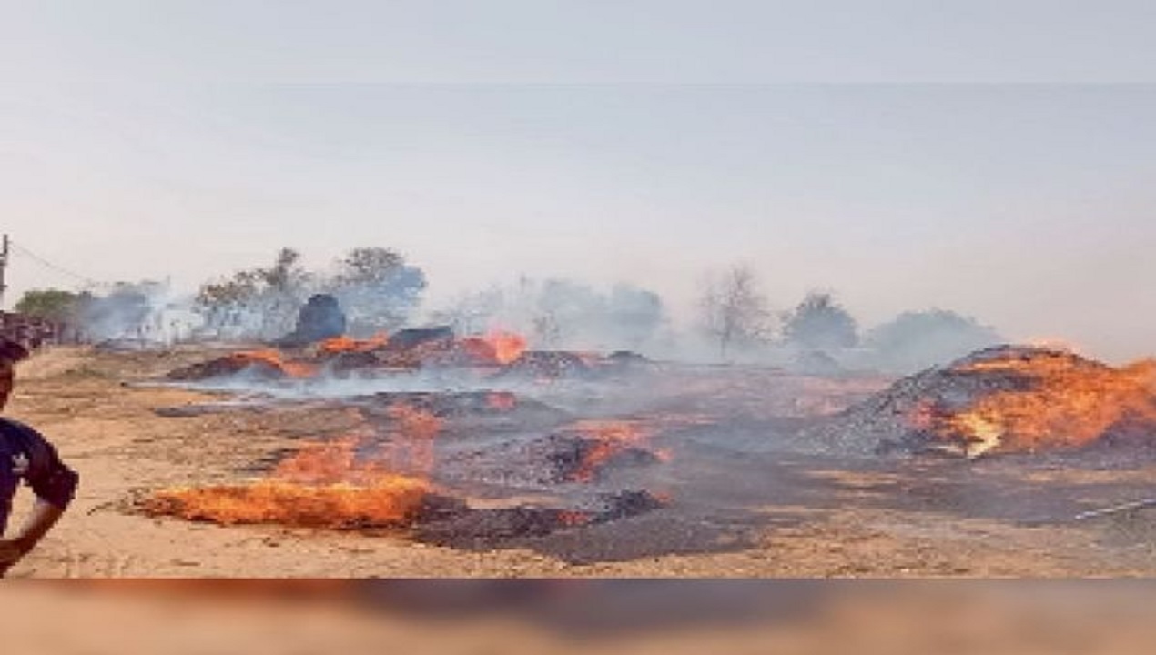 REWA : तीन एकड़ खेत में फैली आग, फसल जल कर राख